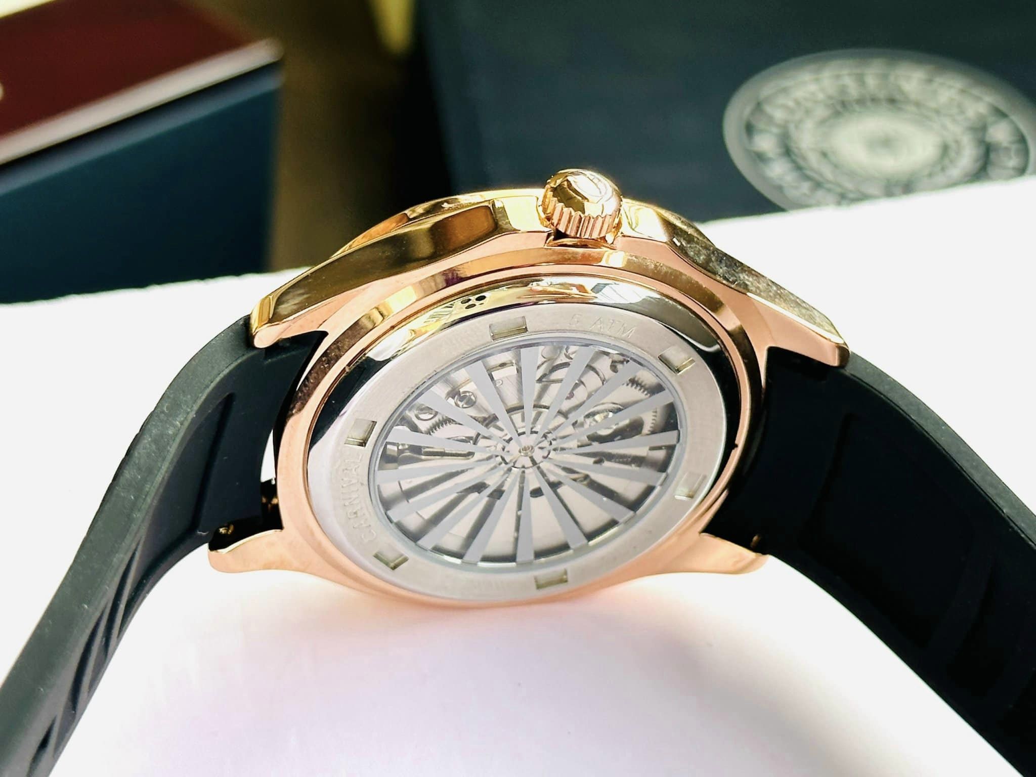 411215924_3712532312400324_4273082980587897245_n