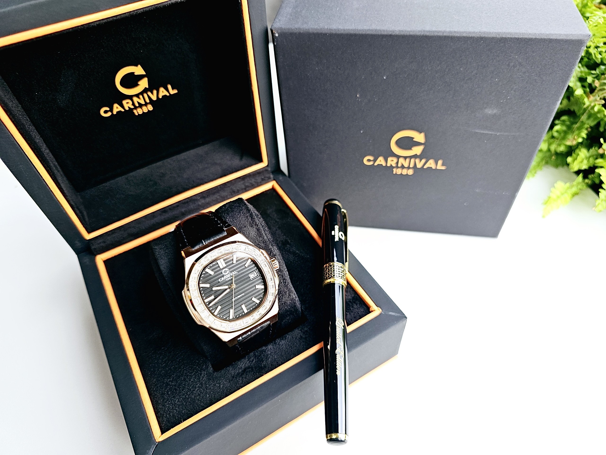 48c6d2ded84808165159