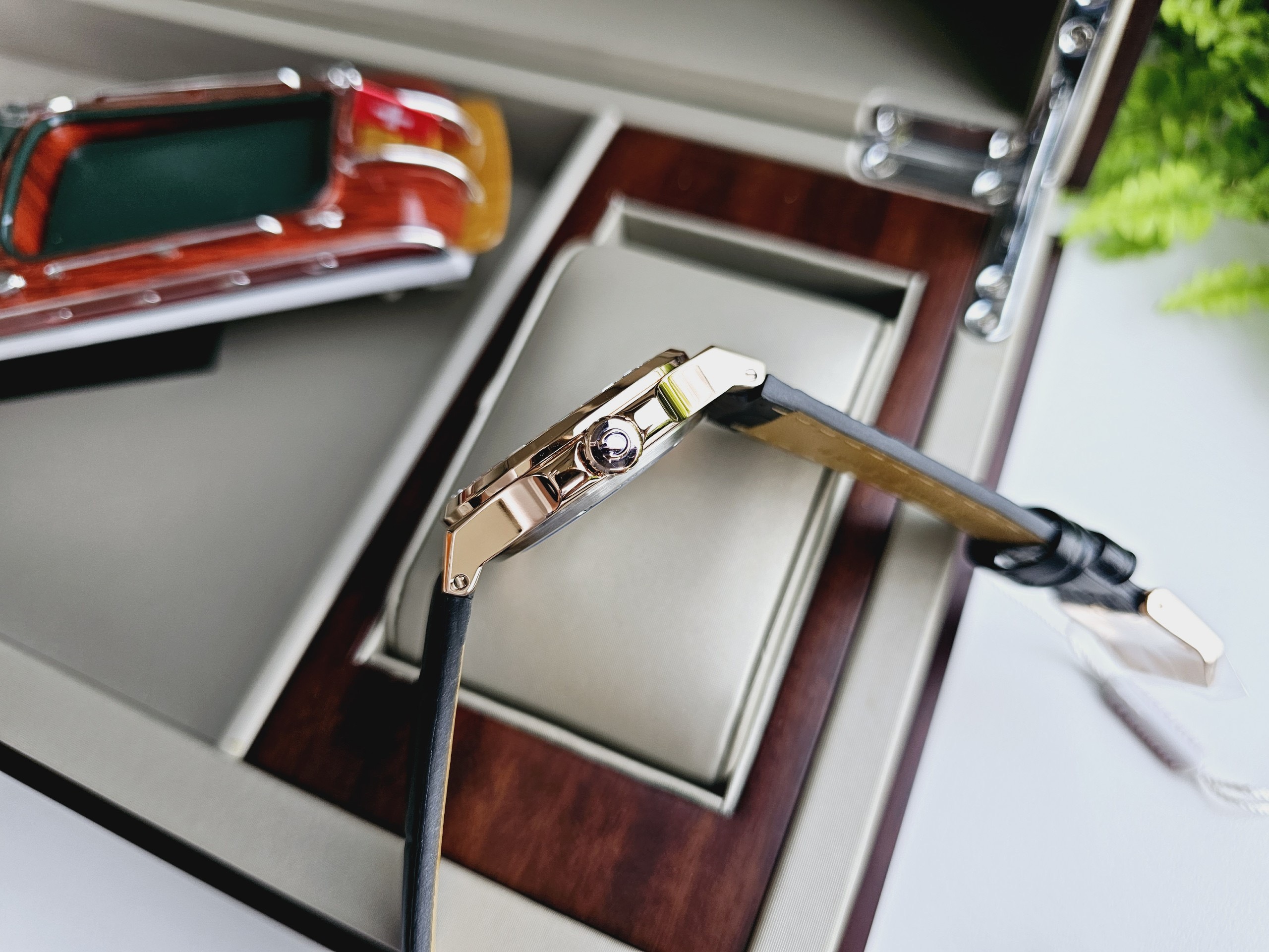 b9d117d71c41cc1f9550