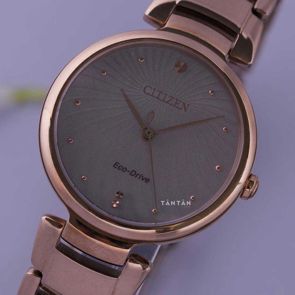 em0853-81y-2_1692419151